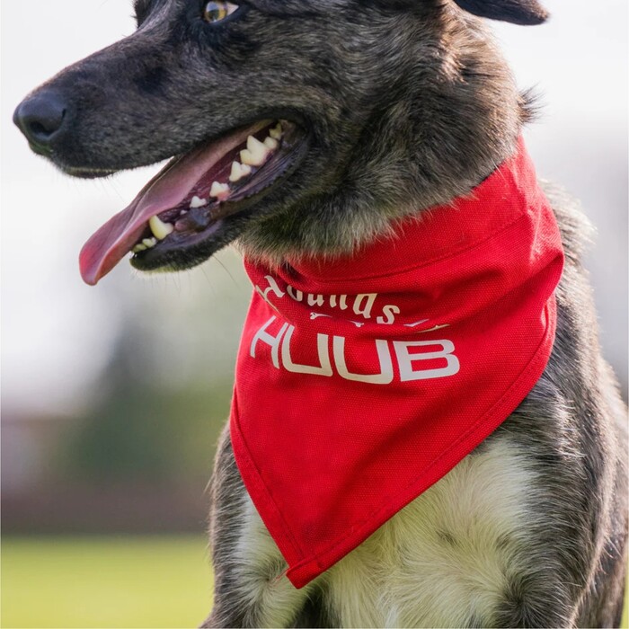 2024 Huub Pet Bandana Scarf A2-PET - Red